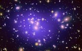 Purple Glow