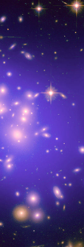 Purple Glow