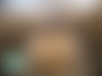 Filing Taxes as a Single-Member LLC vs S-Corp: A Guide for Small Business Owners