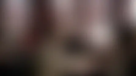 The unmissable Shanghai cafe culture