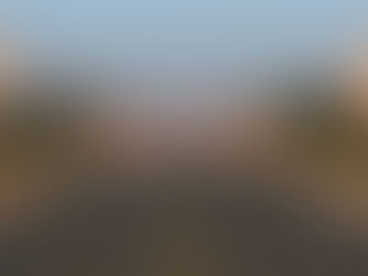 India on lockdown to battle virus spread