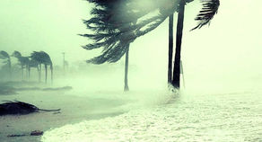 Cyclone Yaas hits India's Odisha state