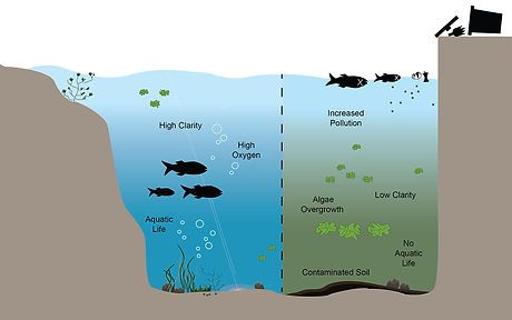 WATER QUALITY.jpg