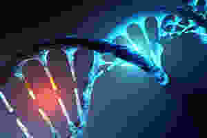 DNA strand