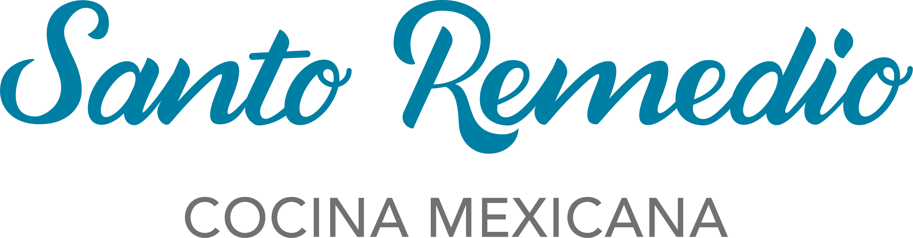 SR_landscape logo.png