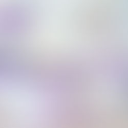 Sonesta White Plains Bridal Show 03.22.26