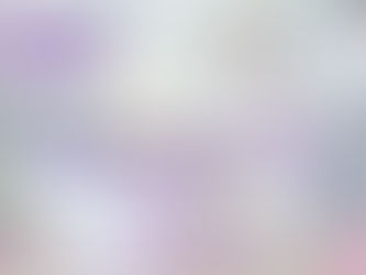 Sonesta White Plains Bridal Show 03.22.26