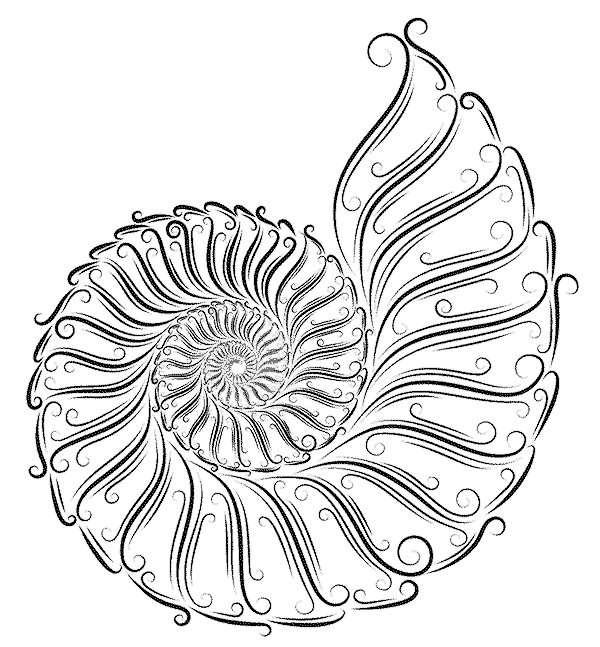 nautilus.gif