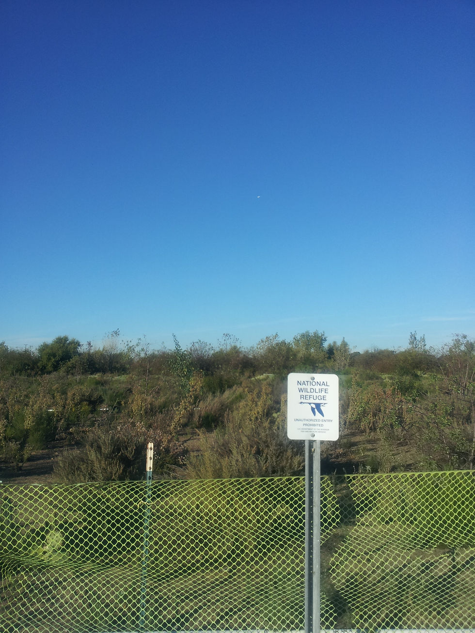 Bayshore Bikeway Mitigation Growth