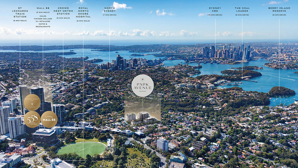 ParkAvenue_Aerial_Updated.jpg