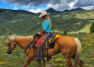 Screenshot 2023-04-06 at 11.23.10 AM.png