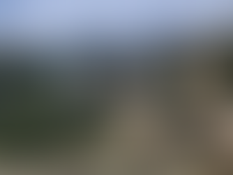 A Week At The Silver Spur Ranch
