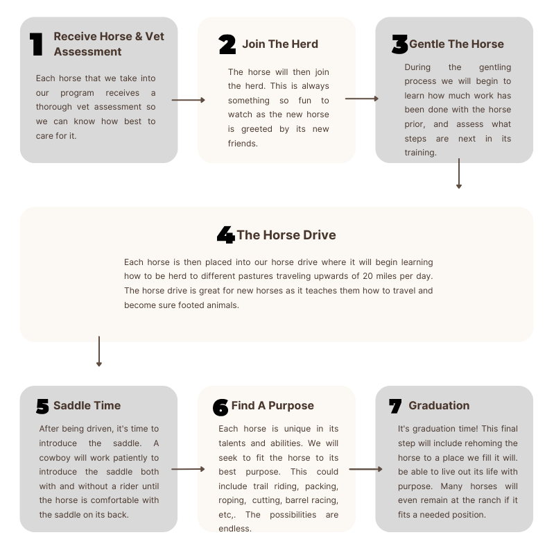 Cream Brown Creative Profitable Culinary Business Tips Infographic-3.png