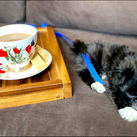 The Simple But Silver Lining Of 2020 โ๏ธ