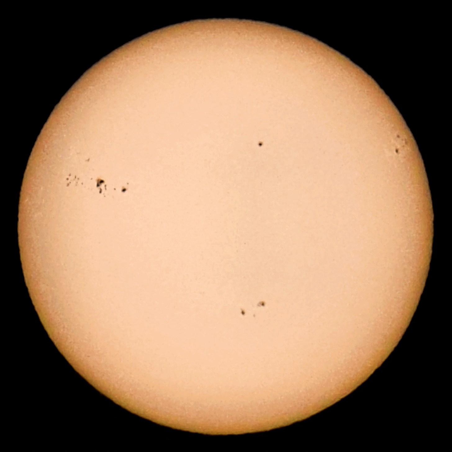 GIF-Animation_sunspots_2011_4x4.gif