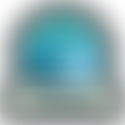 Public Notice of Non-Candidacy-2025 Spring Election- Village Of Fremont