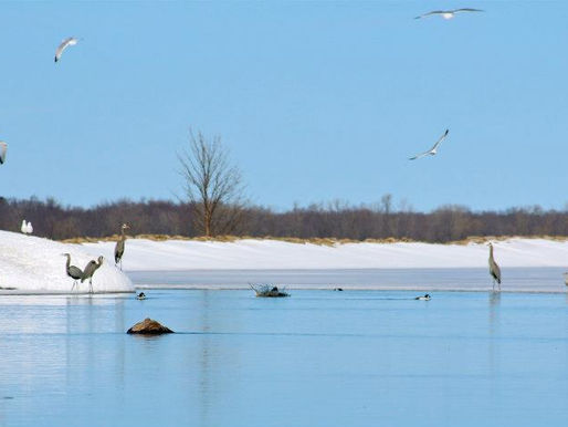 📰 Big Happenings in Fremont: Don’t Miss These Events!