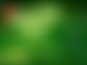 Weyauwega Winter Wonderland Parade Set for Saturday December 7th