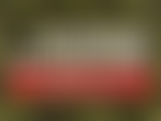 Veterans Backyard Bash banner with camouflage background. Bold white text at the top reads ‘Veterans Backyard Bash’ with a star symbol. Below, a red bar highlights ‘Waupaca County Fairgrounds • Weyauwega, WI’ and the event dates ‘August 29–30, 2025.