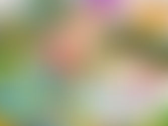 The “Game Of Life” Has Changed Drastically Even For Our Early Elementary Grandchildren With More Choices Than We Boomer Grandparents Ever Imagined