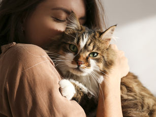 How Preteen and Teenage Grandchildren Are Like Cats