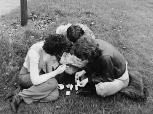 Does Sex, Drugs and Rock ‘n’ Roll Forever Define the Boomer Generation