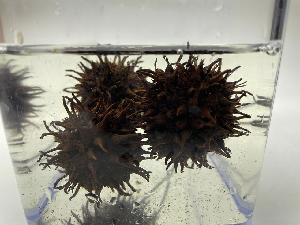 Thumbnail: Scud Balls