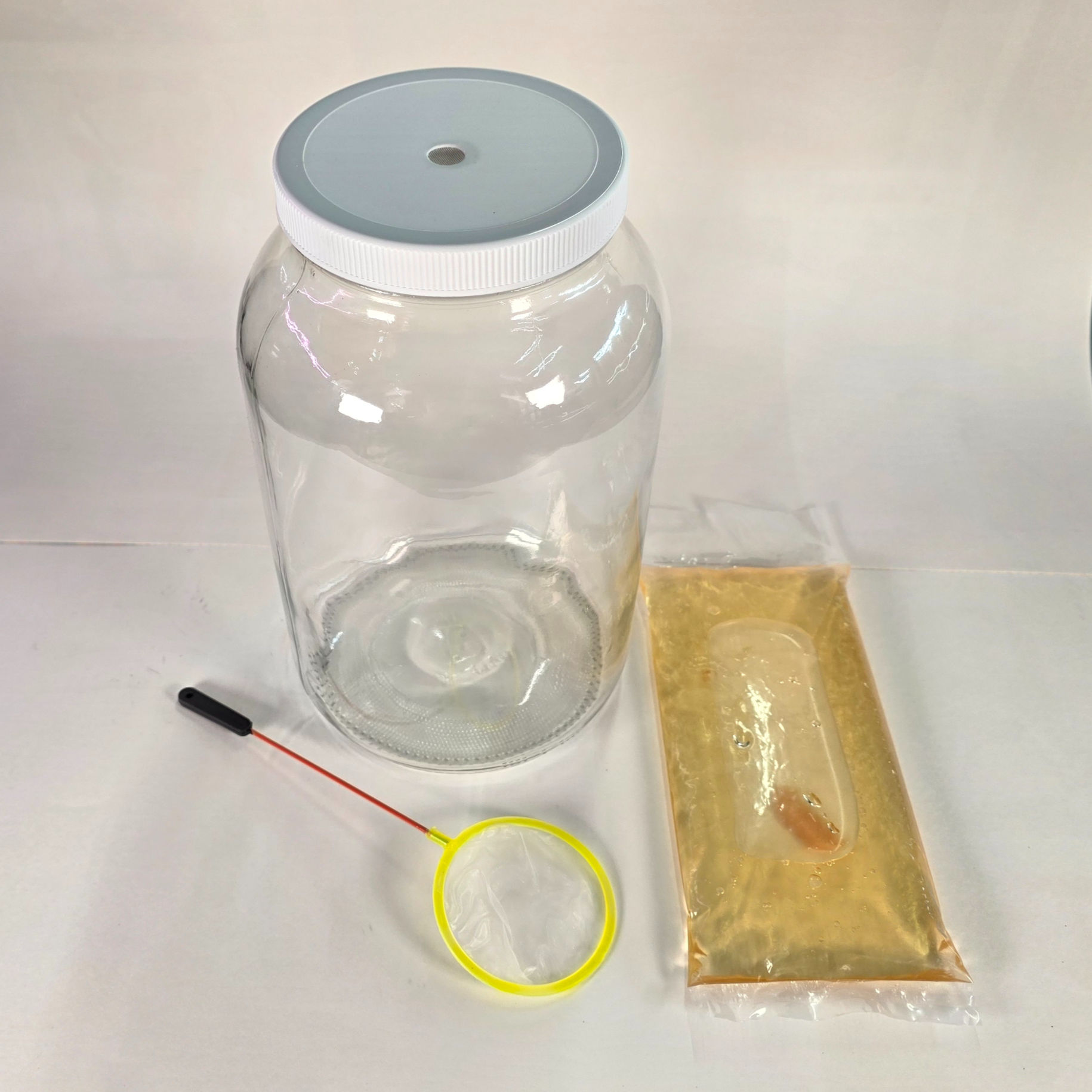 Vinegar Eel Culture Kit