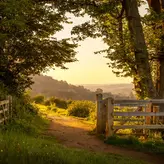 Surrey Countryside Walks | The Best Trails for Nature Lovers