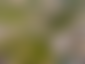 Dubai Hills Real Estate Arial View