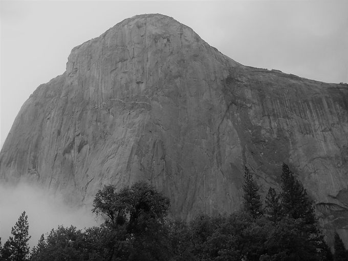IMGP0185 BW.jpg