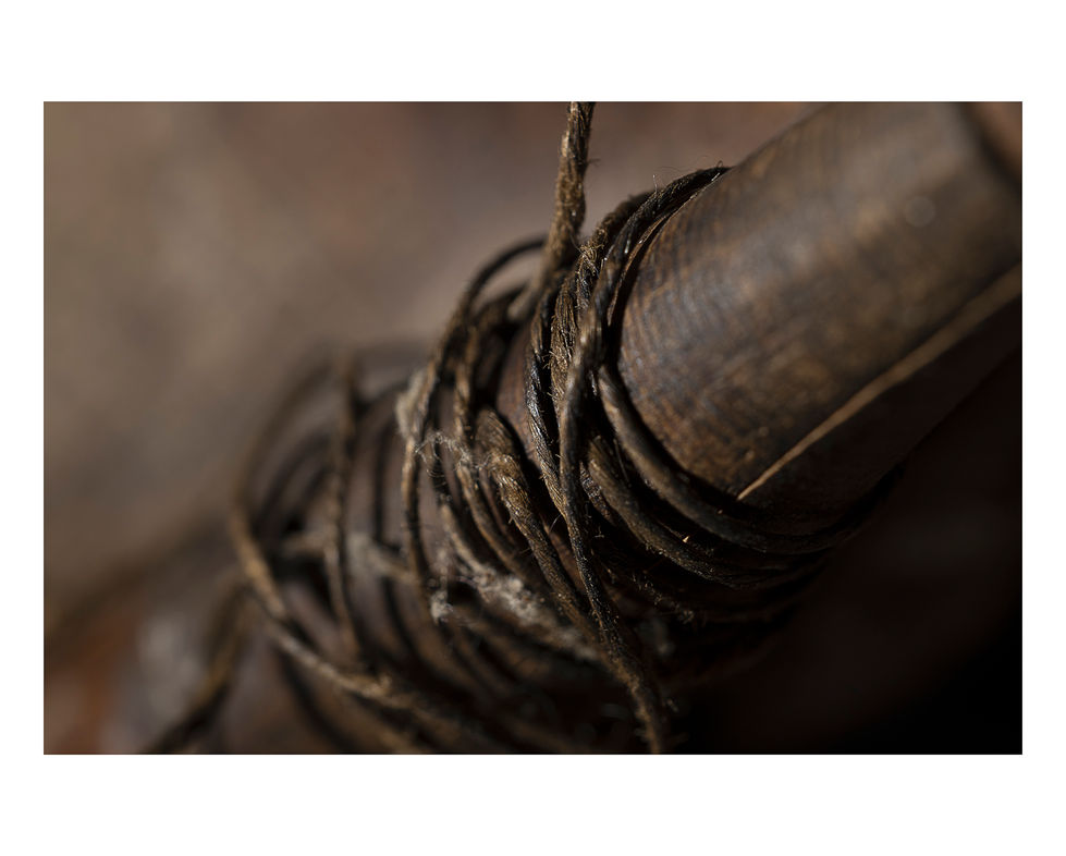 Macro image of vintage golf club Jodi Webb photographer photography