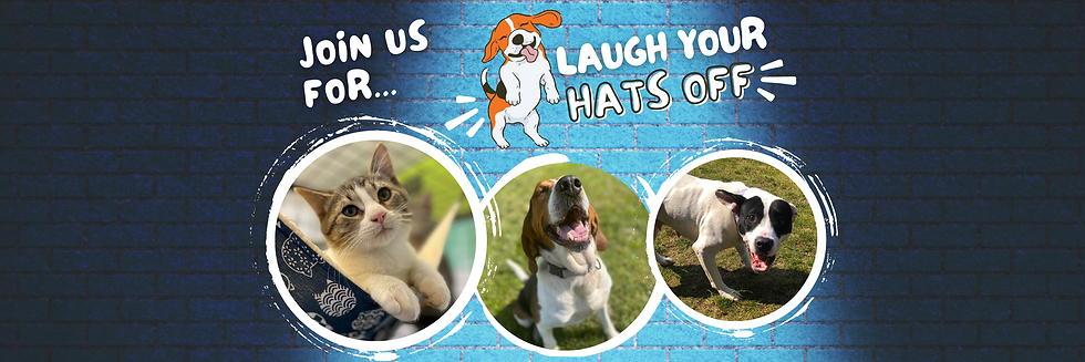 lyho website header.png