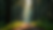 Eye-level view of a tranquil forest pathway surrounded by tall trees