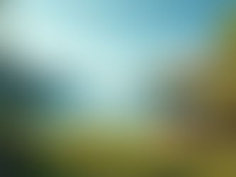 Identifying Team Dynamics