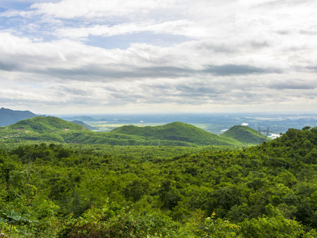 Are tropical forests really so important?