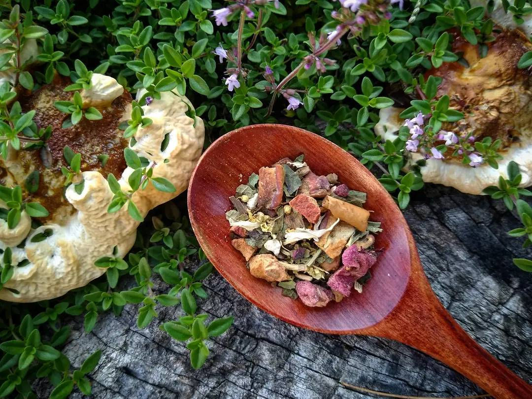 Ashwagandha / Winter Cherry