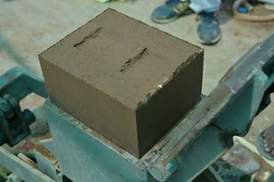 SUS_9828.JPG