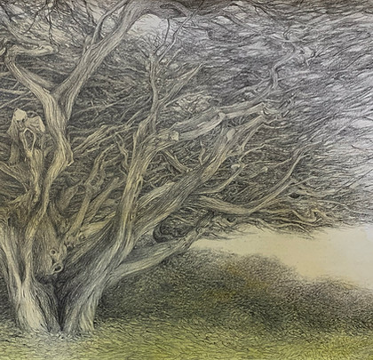 Bodily Nature.jpg