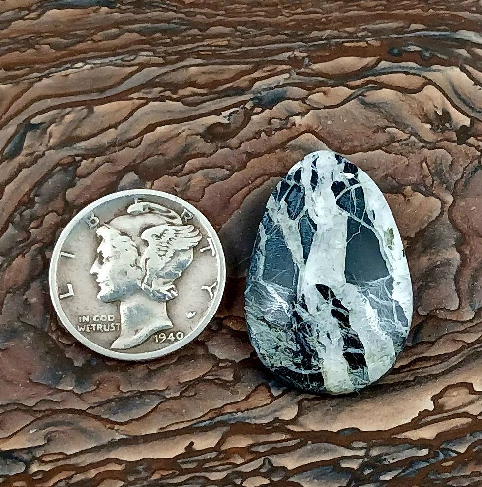 Thumbnail: White Buffalo Cabochon