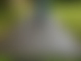 Back on the road again...