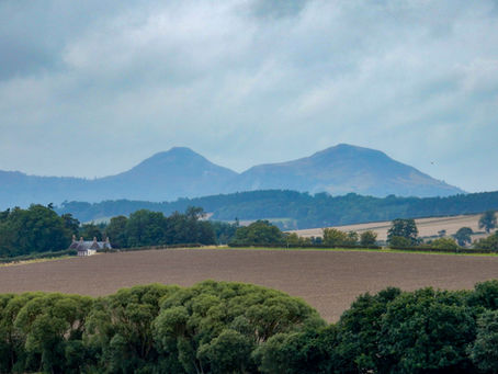 Seasons of mists and mellow fruitfulness...