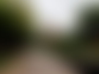 Lejog Day 11: Its a long way to Tipperary...