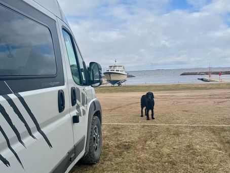 Woche 23 – Geheimtipp Estland? So fühlt sich Vanlife richtig an