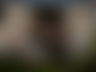 Bäri on Tour: Wein, Smash Burger & Spätzle – Unser zweiter Van-Test