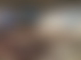 Sotheby's moves into the Breuer: Klimt makes history