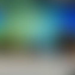 Presidential Set up at the World Climate  & Biodiversity Summit