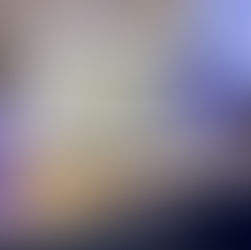 A night  raising funds with the U.S. Secret Service