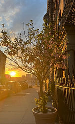 IMG_7155.jpeg