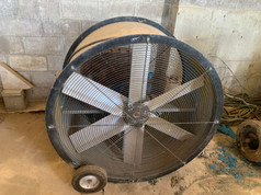 IMG_9703.jpeg
